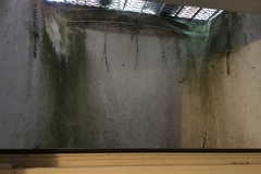 image11
